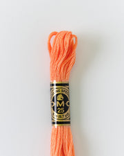 DMC Embroidery Stranded Thread - Six-Strand Embroidery Floss - 3341 - Kitten’s Nose - HM Nabavian