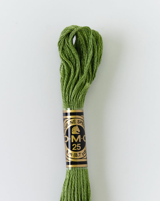 DMC Embroidery Stranded Thread - Six-Strand Embroidery Floss - 3347 - Asparagus - HM Nabavian