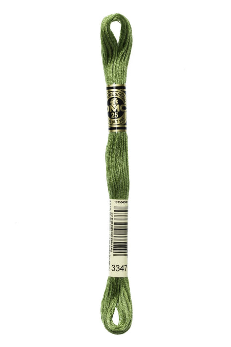 DMC Embroidery Stranded Thread - Six-Strand Embroidery Floss - 3347 - Asparagus - HM Nabavian