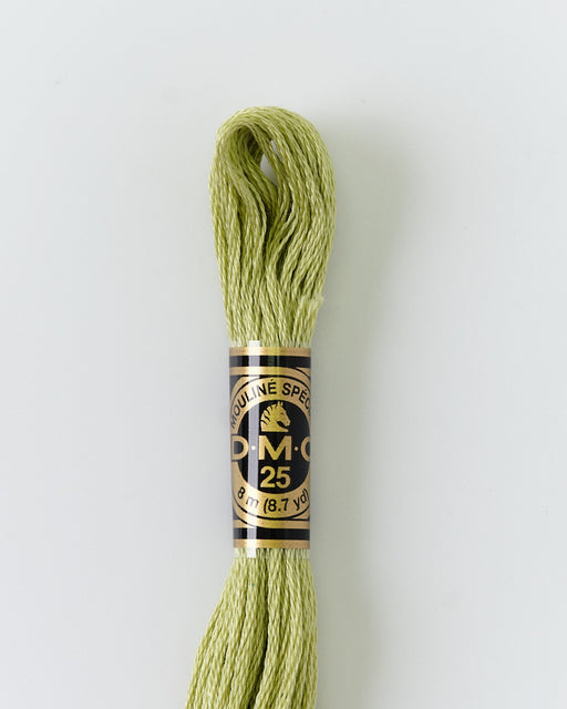 DMC Embroidery Stranded Thread - Six-Strand Embroidery Floss - 3348 - Scallion - HM Nabavian