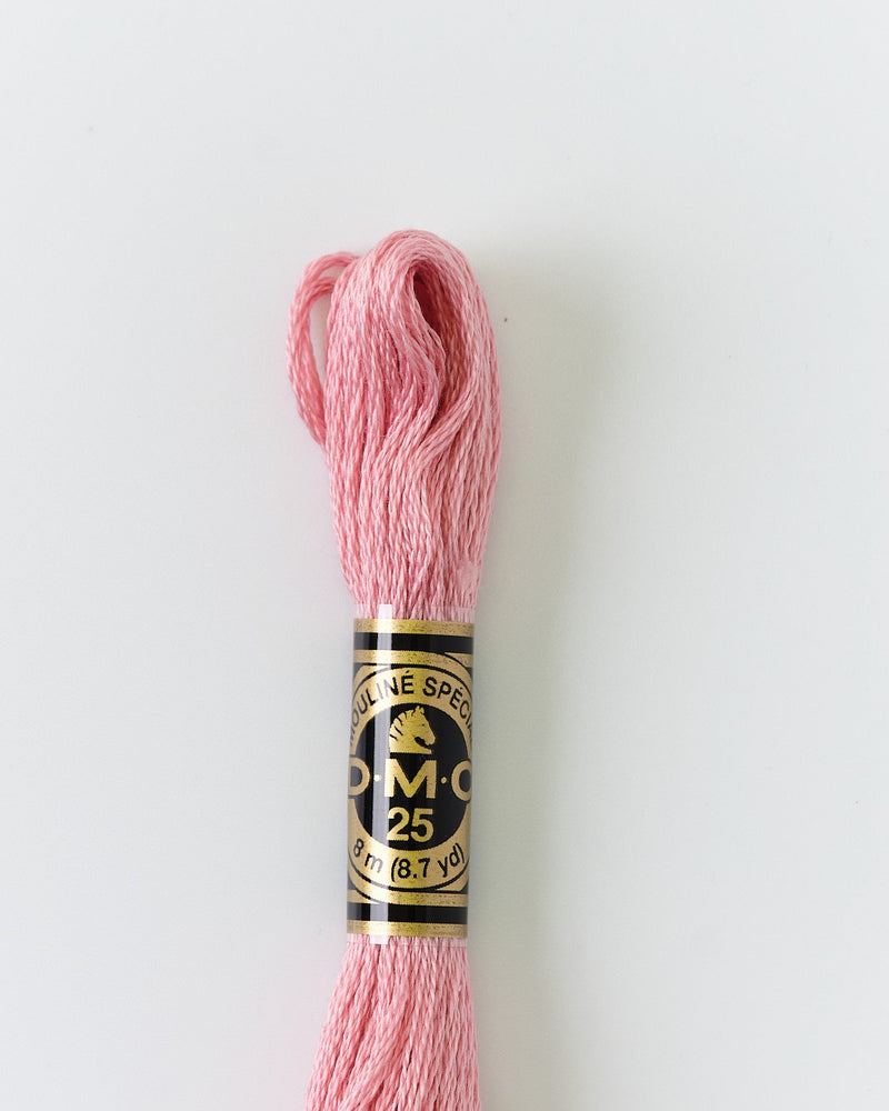 DMC Embroidery Stranded Thread - Six-Strand Embroidery Floss - 3354 - Baker Miller Pink - HM Nabavian
