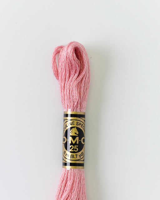DMC Embroidery Stranded Thread - Six-Strand Embroidery Floss - 3354 - Baker Miller Pink - HM Nabavian