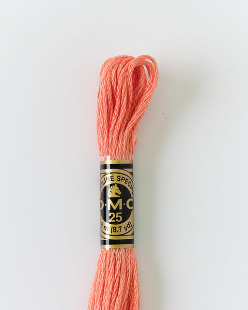 DMC Embroidery Stranded Thread - Six-Strand Embroidery Floss - 352 - Salmon - HM Nabavian