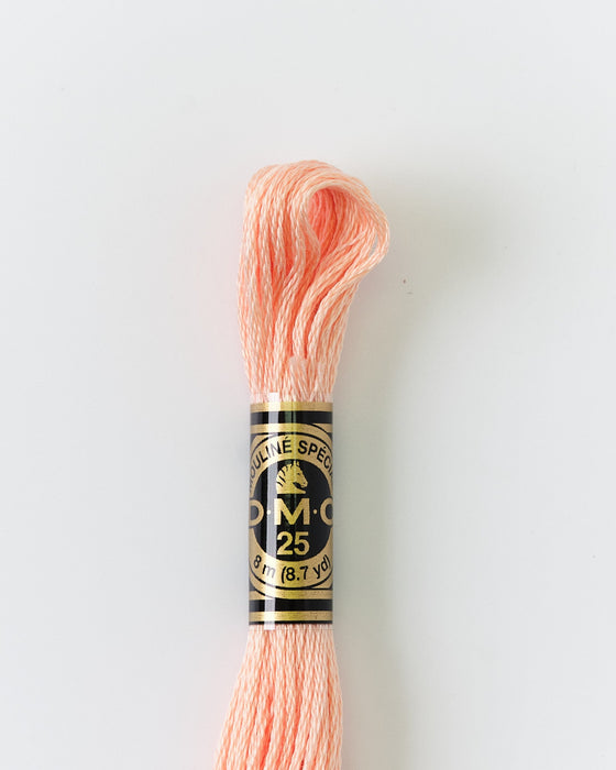 DMC Embroidery Stranded Thread - Six-Strand Embroidery Floss - 353 - Ballet Slippers - HM Nabavian