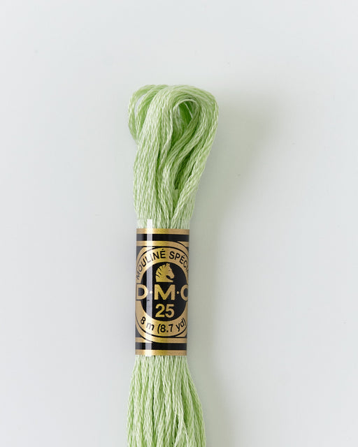 DMC Embroidery Stranded Thread - Six-Strand Embroidery Floss - 369 - Bamboo Shoot Green - HM Nabavian