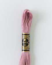 DMC Embroidery Stranded Thread - Six-Strand Embroidery Floss - 3727 - Lycee - HM Nabavian