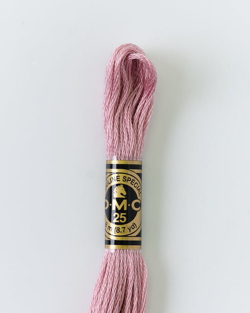 DMC Embroidery Stranded Thread - Six-Strand Embroidery Floss - 3727 - Lycee - HM Nabavian