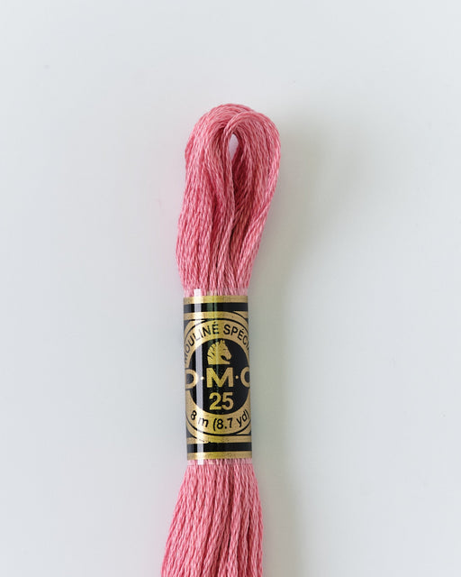 DMC Embroidery Stranded Thread - Six-Strand Embroidery Floss - 3733 - Pink Hollyhock - HM Nabavian