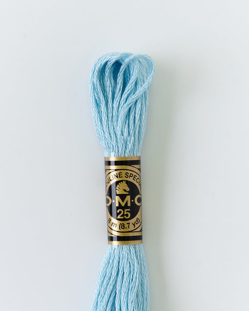 DMC Embroidery Stranded Thread - Six-Strand Embroidery Floss - 3761 - Aquamarine Blue - HM Nabavian