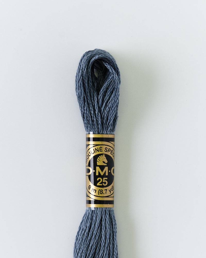DMC Embroidery Stranded Thread - Six-Strand Embroidery Floss - 3768 - Storm - HM Nabavian