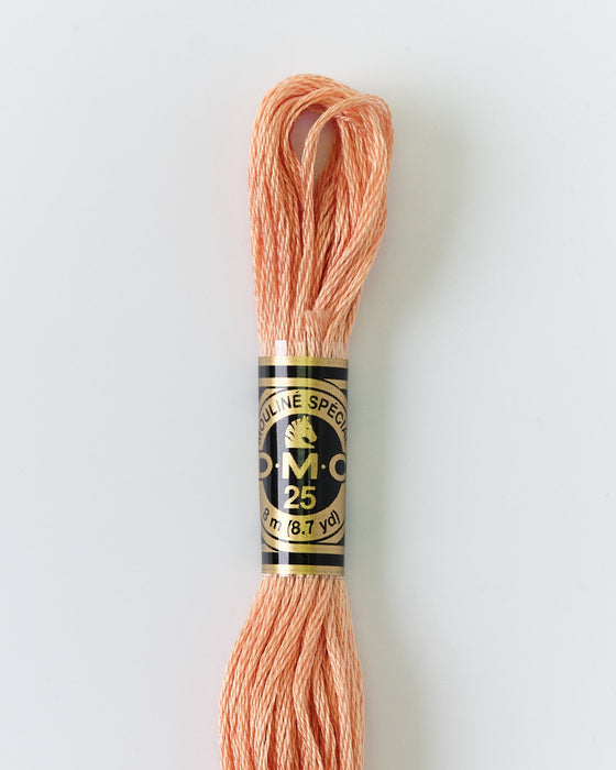 DMC Embroidery Stranded Thread - Six-Strand Embroidery Floss - 3771 - Pink Sand - HM Nabavian