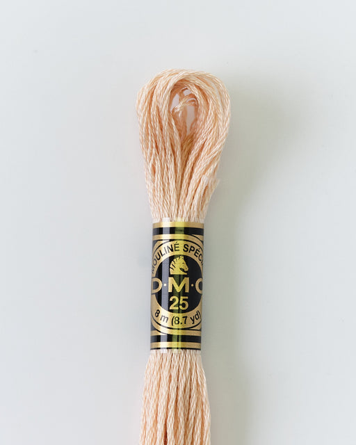 DMC Embroidery Stranded Thread - Six-Strand Embroidery Floss - 3774 - Linen - HM Nabavian