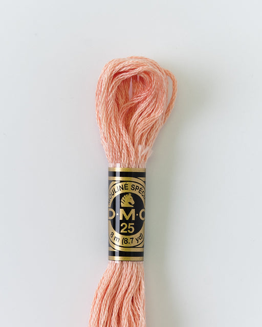 DMC Embroidery Stranded Thread - Six-Strand Embroidery Floss - 3779 - Burnished Pink - HM Nabavian