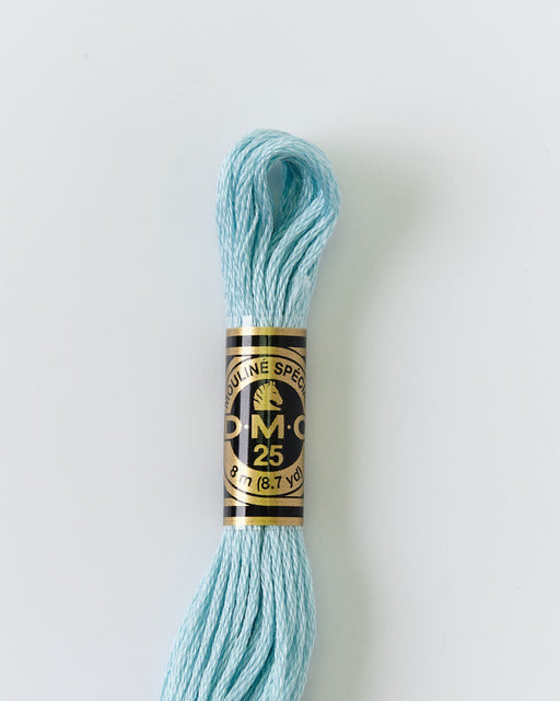 DMC Embroidery Stranded Thread - Six-Strand Embroidery Floss - 3811 - Blue Waterfall - HM Nabavian