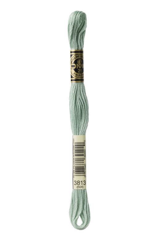 DMC Embroidery Stranded Thread - Six-Strand Embroidery Floss - 3813 - Lichen Green - HM Nabavian