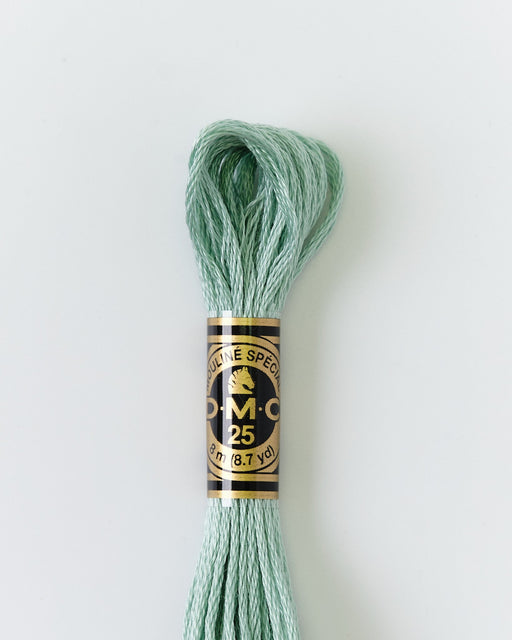 DMC Embroidery Stranded Thread - Six-Strand Embroidery Floss - 3813 - Lichen Green - HM Nabavian