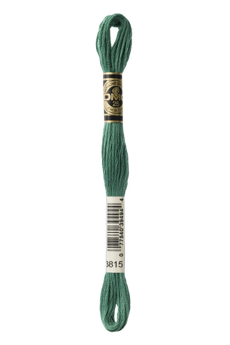 DMC Embroidery Stranded Thread - Six-Strand Embroidery Floss - 3815 - Almond Green - HM Nabavian