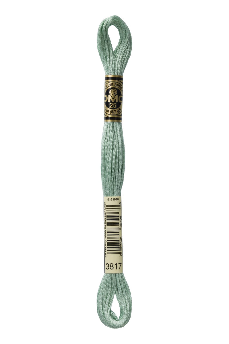 DMC Embroidery Stranded Thread - Six-Strand Embroidery Floss - 3817 - Poplar - HM Nabavian