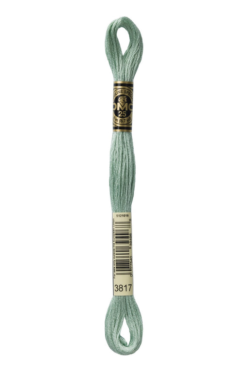 DMC Embroidery Stranded Thread - Six-Strand Embroidery Floss - 3817 - Poplar - HM Nabavian