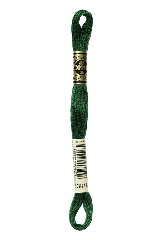 DMC Embroidery Stranded Thread - Six-Strand Embroidery Floss - 3818 - Broccoli - HM Nabavian