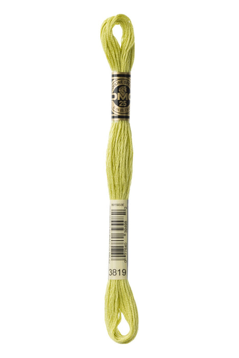 DMC Embroidery Stranded Thread - Six-Strand Embroidery Floss - 3819 - Aurous Green - HM Nabavian