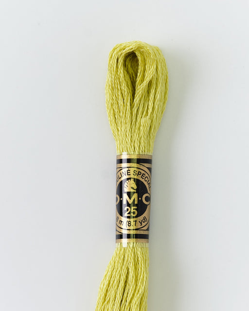 DMC Embroidery Stranded Thread - Six-Strand Embroidery Floss - 3819 - Aurous Green - HM Nabavian