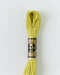 DMC Embroidery Stranded Thread - Six-Strand Embroidery Floss - 3819 - Aurous Green - HM Nabavian