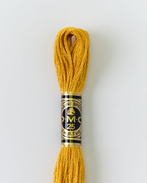 DMC Embroidery Stranded Thread - Six-Strand Embroidery Floss - 3820 - Sunshine - HM Nabavian