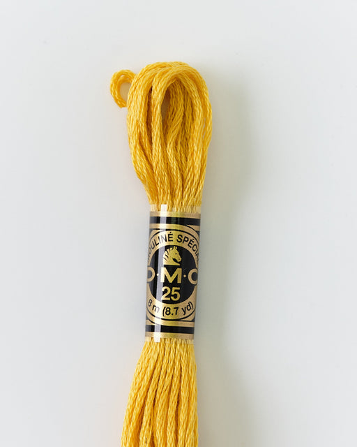 DMC Embroidery Stranded Thread - Six-Strand Embroidery Floss - 3821 - Metallic Mango - HM Nabavian