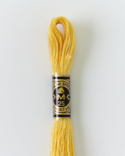 DMC Embroidery Stranded Thread - Six-Strand Embroidery Floss - 3822 - Corn Husk - HM Nabavian