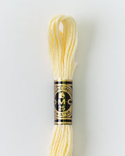 DMC Embroidery Stranded Thread - Six-Strand Embroidery Floss - 3823 - Moonshine - HM Nabavian
