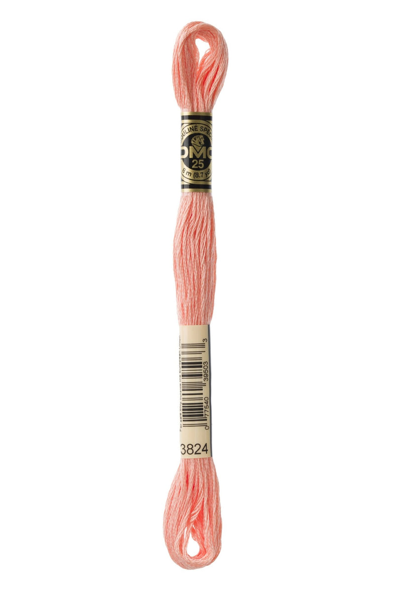 DMC Embroidery Stranded Thread - Six-Strand Embroidery Floss - 3824 - Strawberry Chew - HM Nabavian