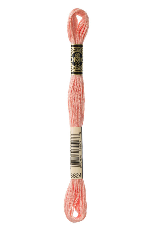 DMC Embroidery Stranded Thread - Six-Strand Embroidery Floss - 3824 - Strawberry Chew - HM Nabavian