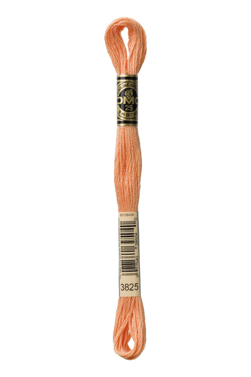 DMC Embroidery Stranded Thread - Six-Strand Embroidery Floss - 3825 - Muted Apricot - HM Nabavian