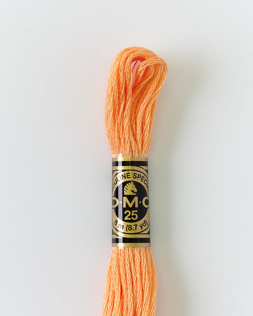 DMC Embroidery Stranded Thread - Six-Strand Embroidery Floss - 3825 - Muted Apricot - HM Nabavian