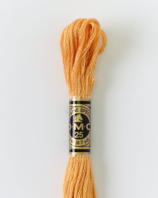 DMC Embroidery Stranded Thread - Six-Strand Embroidery Floss - 3827 - Coral Blush - HM Nabavian