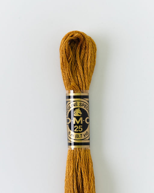 DMC Embroidery Stranded Thread - Six-Strand Embroidery Floss - 3829 - Ochre Earth - HM Nabavian