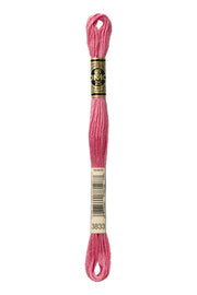 DMC Embroidery Stranded Thread - Six-Strand Embroidery Floss - 3833 - Strawberry Sorbet - HM Nabavian