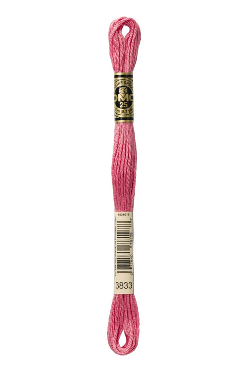 DMC Embroidery Stranded Thread - Six-Strand Embroidery Floss - 3833 - Strawberry Sorbet - HM Nabavian