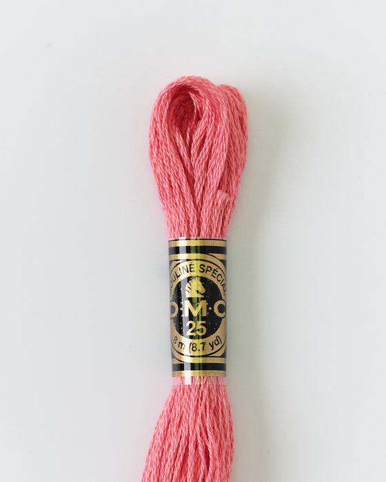 DMC Embroidery Stranded Thread - Six-Strand Embroidery Floss - 3833 - Strawberry Sorbet - HM Nabavian