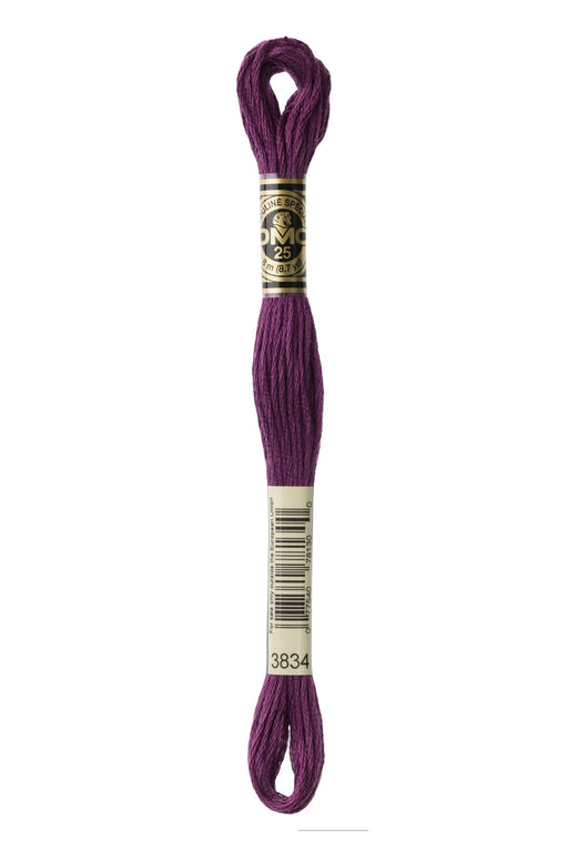 DMC Embroidery Stranded Thread - Six-Strand Embroidery Floss - 3834 - Red Grape - HM Nabavian