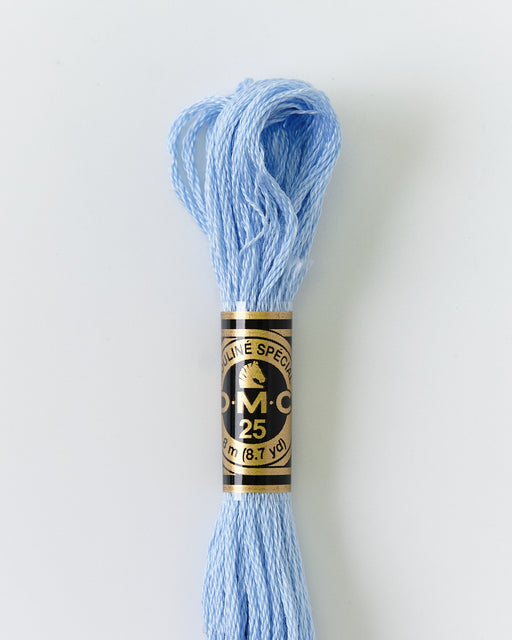 DMC Embroidery Stranded Thread - Six-Strand Embroidery Floss - 3840 - Linen Flower Blue - HM Nabavian