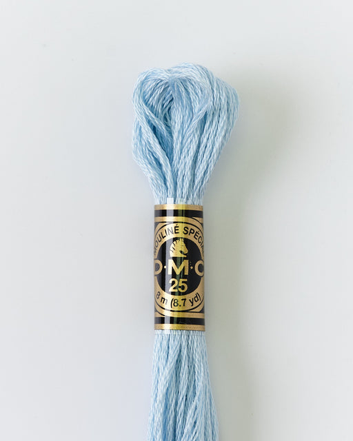 DMC Embroidery Stranded Thread - Six-Strand Embroidery Floss - 3841 - Igloo Blue - HM Nabavian