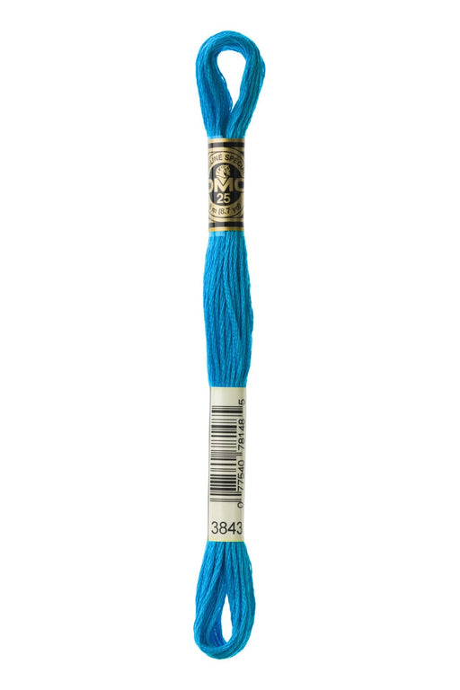 DMC Embroidery Stranded Thread - Six-Strand Embroidery Floss - 3843 - Metallic Pool Blue - HM Nabavian