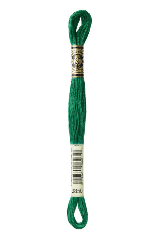 DMC Embroidery Stranded Thread - Six-Strand Embroidery Floss - 3850 - Emerald - HM Nabavian