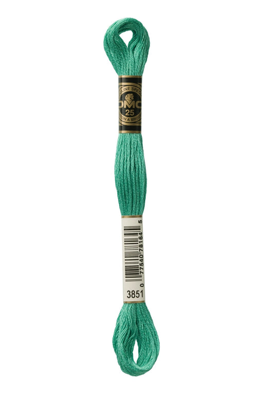 DMC Embroidery Stranded Thread - Six-Strand Embroidery Floss - 3851 - Emerald Shard - HM Nabavian