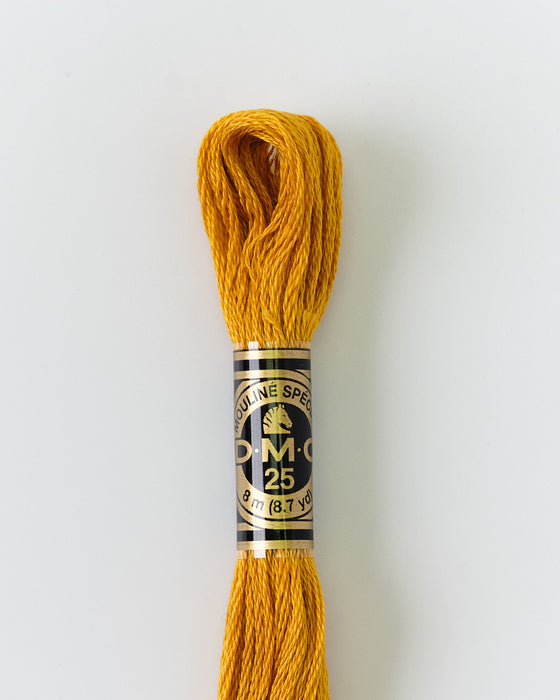 DMC Embroidery Stranded Thread - Six-Strand Embroidery Floss - 3852 - Metallic Glitz - HM Nabavian