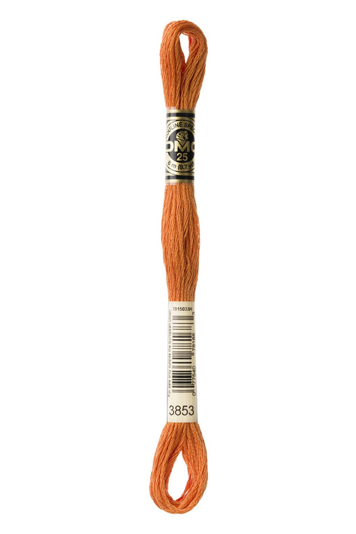 DMC Embroidery Stranded Thread - Six-Strand Embroidery Floss - 3853 - Copper - HM Nabavian