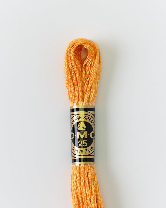 DMC Embroidery Stranded Thread - Six-Strand Embroidery Floss - 3854 - Chai Spice - HM Nabavian