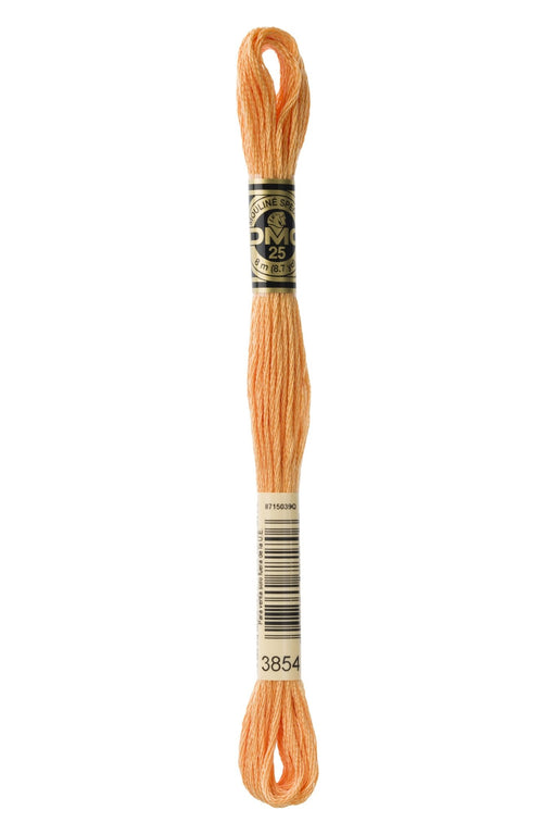 DMC Embroidery Stranded Thread - Six-Strand Embroidery Floss - 3854 - Chai Spice - HM Nabavian